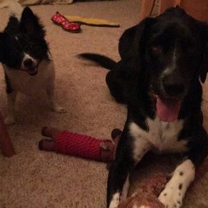 Meet your Posher, Lauren